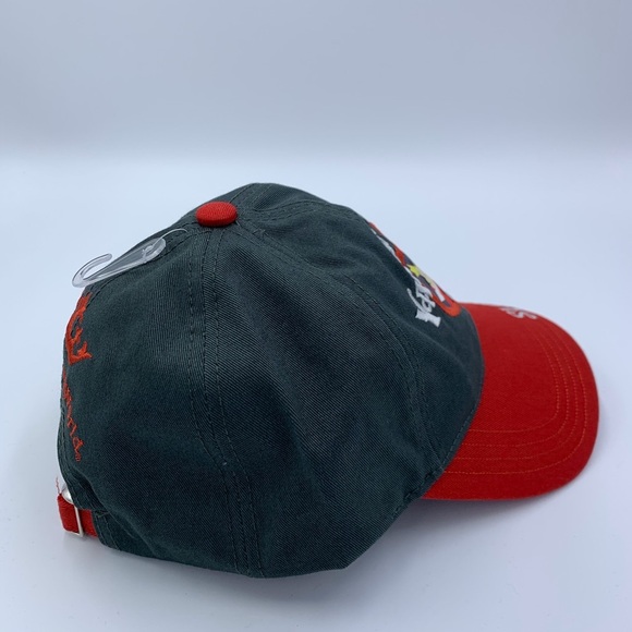 Disney Parks Hat - Picture 5 of 8